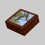 Caja de regalo - Flycatcher cajas de regalo