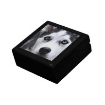Caja de regalo fornida del perrito