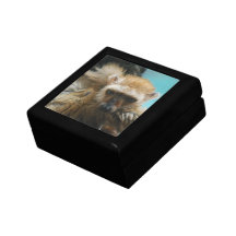 Caja de regalo observada azul del Lemur