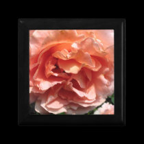 Caja de regalo rosada de Rose cajas de regalo