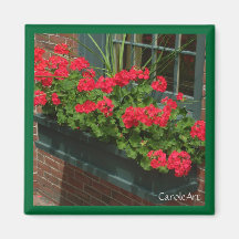 Caja de ventana verde roja de los geranios iman