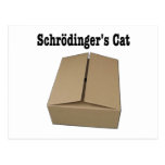 Caja del gato de Schrodinger Tarjetas Postales