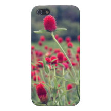 Caja personalizada de Iphone iPhone 5 Fundas