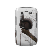 Caja preciosa de Blackberry de la ardilla Blackberry Bold Carcasa