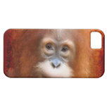 Caja roja en peligro orangután del dispositivo del iPhone 5 protector