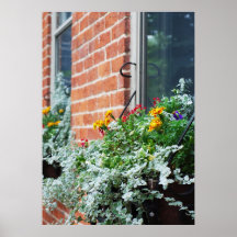 Cajas de ventana poster