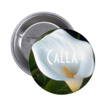 Cala color crema pin