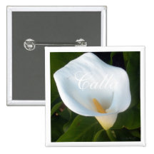 Cala color crema pins