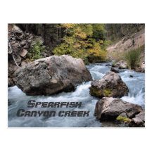 Cala del barranco del Spearfish Postal