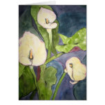 Cala Lillies Tarjeta