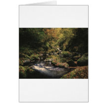 cala ocultada del bosque místico 2 tarjeta