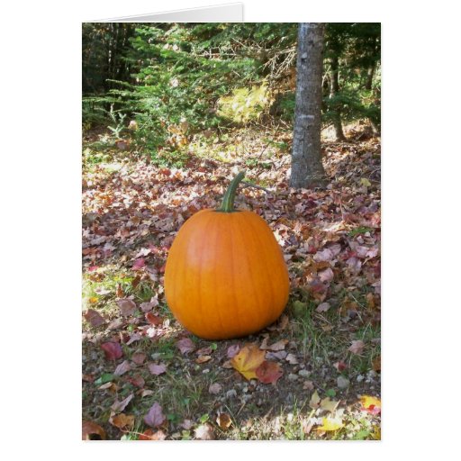 calabaza de la caída felicitación