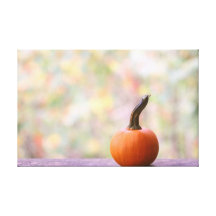 Calabaza miniatura con la foto de colores de la ca impresiones en lona