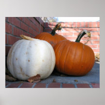 Calabaza Poster