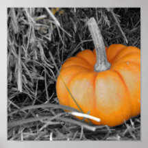 Calabaza Poster