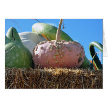 Calabaza y amigos rosados tarjeta