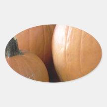 Calabazas Calcomanía De Oval