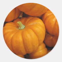 Calabazas de la cosecha de la caída etiquetas  