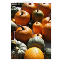 Calabazas tarjetas