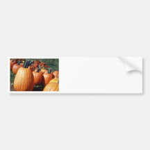 Calabazas Pegatina De Parachoque