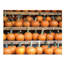 Calabazas, postal de las calabazas