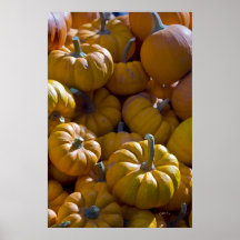Calabazas Impresiones
