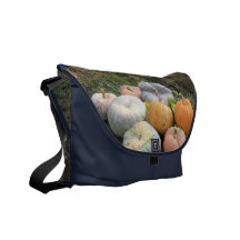 Calabazas y calabazas bolsas messenger