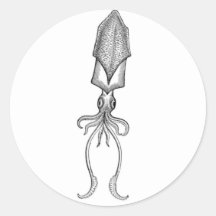 Calamar Etiqueta