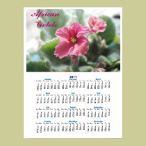 Calendario bastante rosado de la violeta africana  posters