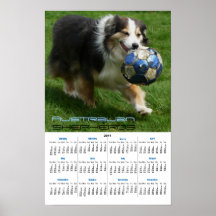 Calendario de pared del perro de 2011 Aussie Poster