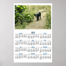 Calendario solitario del poster del cerdo