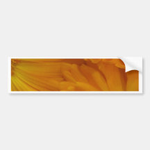 Calendula Etiqueta De Parachoque