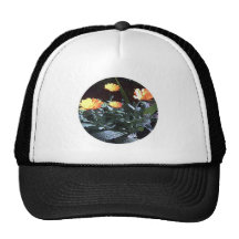 Calendula Gorra