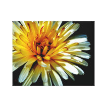 Calendula wow impresion en lona