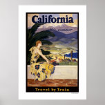 California este verano. Viaje por el poster del tr