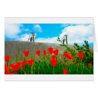 California Felicitacion