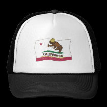 California sabe ir de fiesta el oso gorras