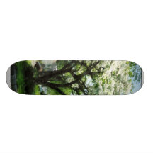 Calle con el Dogwood Patin Personalizado