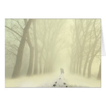 Callejón Nevado Tarjetas
