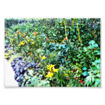 Cama de flor en el jardín de Monet Arte Fotográfico