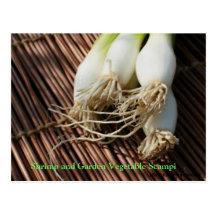 Camarón y verdura Scampi del jardín Postales