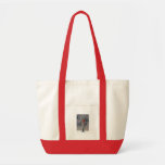Cambie el bolso del soporte bolsa