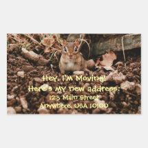 Cambio de pegatinas del Chipmunk de la dirección