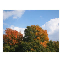 Cambio del color del otoño fotografías  