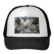 Camelia Blosson Gorra