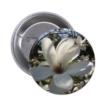 Camelia Blosson Pins