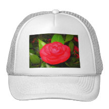 Camelias en la floración gorros bordados