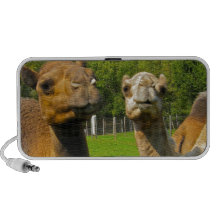 Camellos en el parque zoológico laptop altavoces