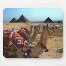 Camellos en Giza, El Cairo Alfombrilla De Ratón