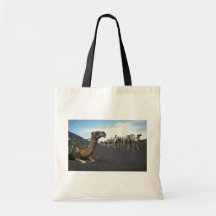 Camellos, Lanzarote Bolsas
